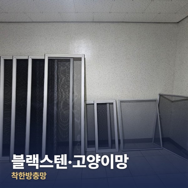 파주 블랙스텐·고양이망